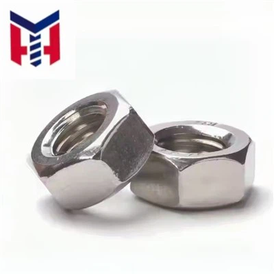 Rustfrit stål hexagon nødder din934